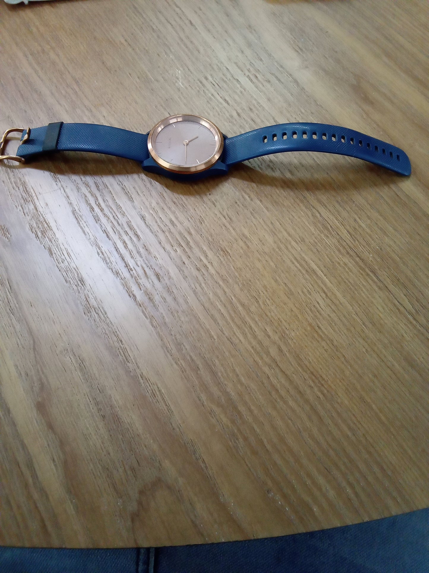 Garmin Vivomove 3S Watch