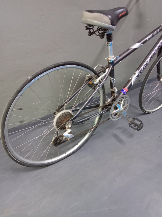 Raleigh Platinum Breeze